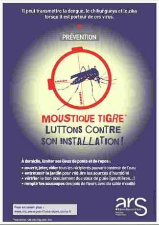 Lutte contre le moustique tigre