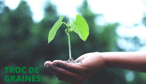 TROC_DE_GRAINES